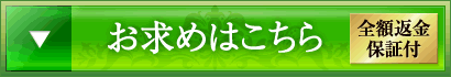 お求めはこちら