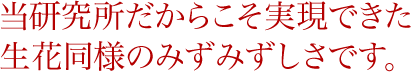 当研究所だからこそ実現できた生花同様のみずみずしさです。