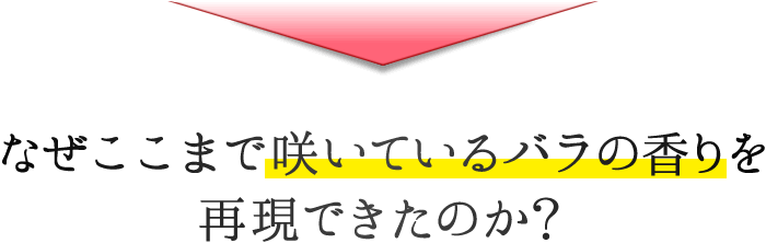 なぜここまで咲いているバラの香りを再現できたのか？