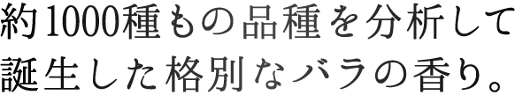 約1000種もの品種を分析して誕生した格別なバラの香り。