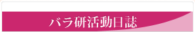 バラ研活動日誌