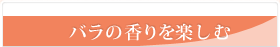 バラの香りを楽しむ